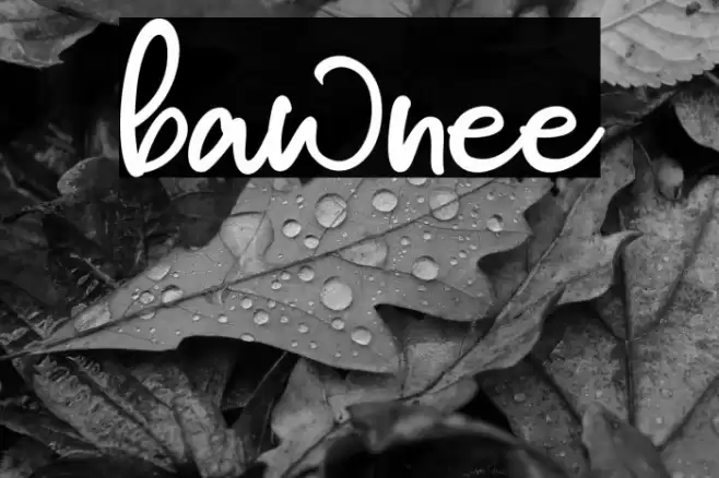 bawnee Font examples