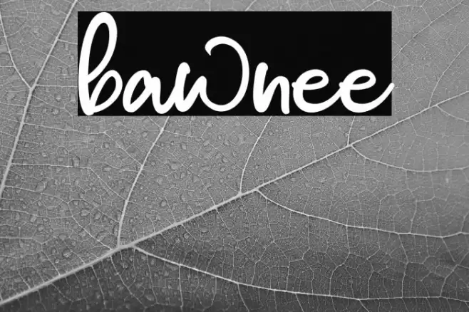 bawnee Font examples