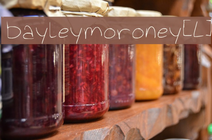 bayleymoroney[L] Example 1