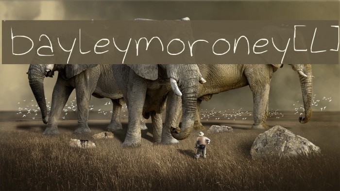 bayleymoroney[L] Example 2