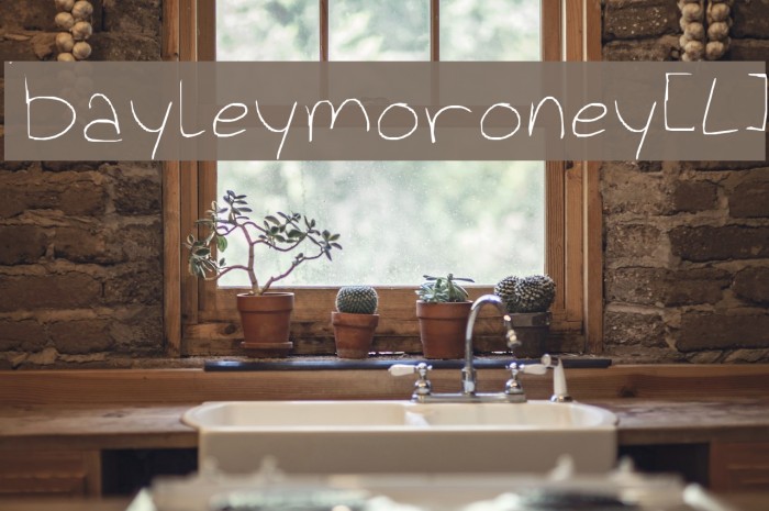 bayleymoroney[L] Example 3