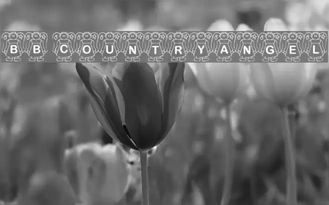 BB CountryAngel Font examples