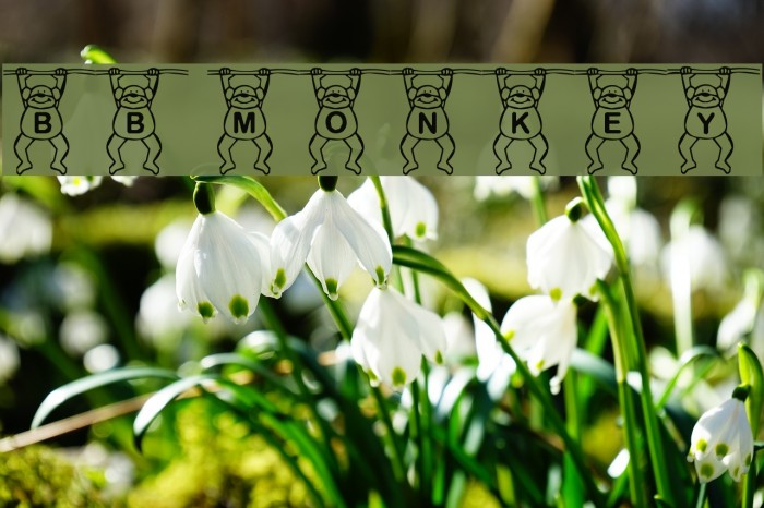 BB Monkey Font examples