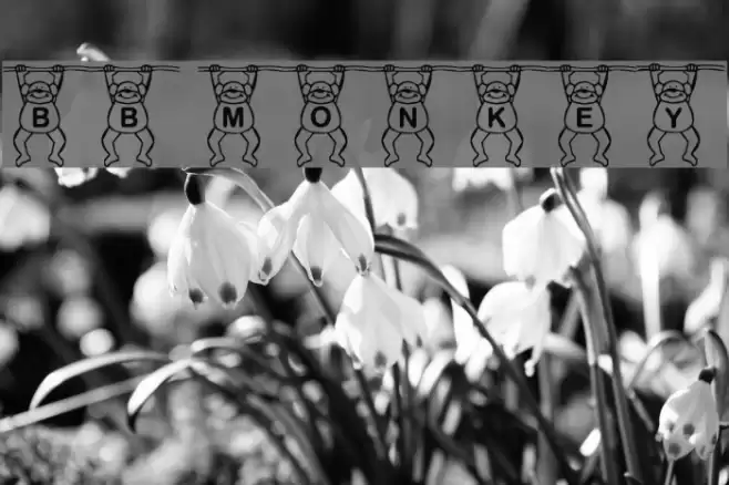 BB Monkey Font examples