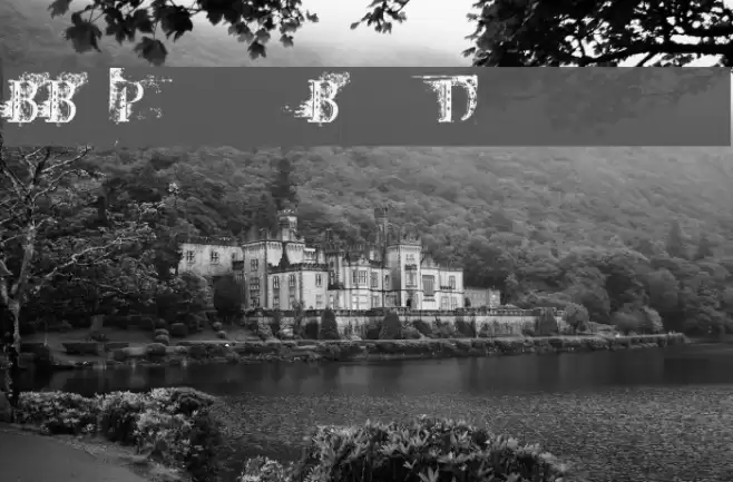 BB Petie Boy Destroyed Font examples