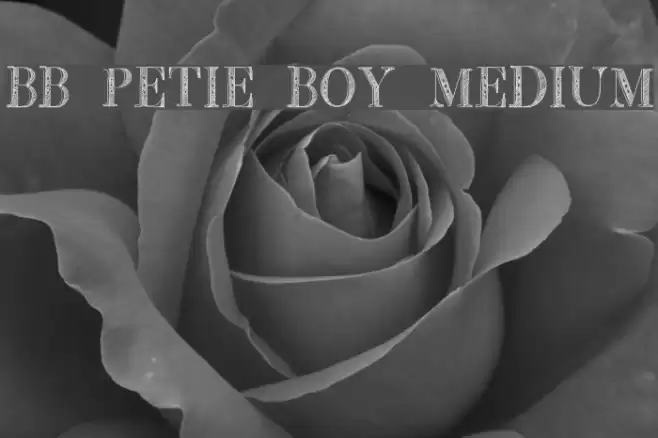 BB Petie Boy Medium Font examples