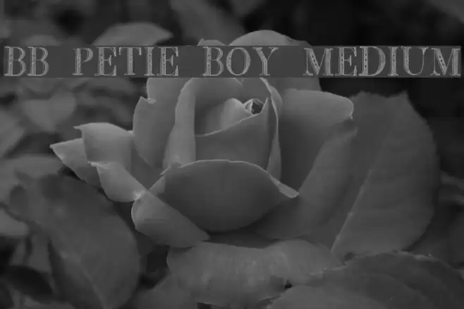 BB Petie Boy Medium Font examples
