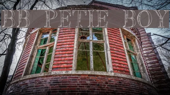 BB Petie Boy Example 1