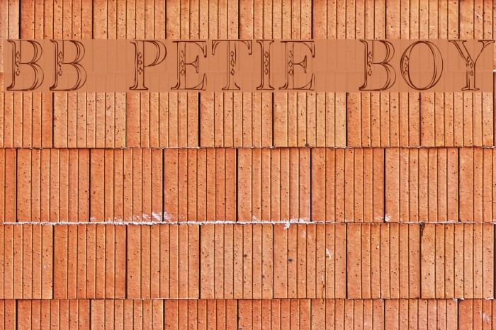 BB Petie Boy Font examples