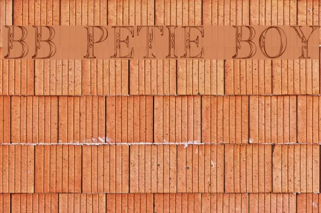 BB Petie Boy Example 2