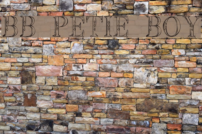 BB Petie Boy Font examples
