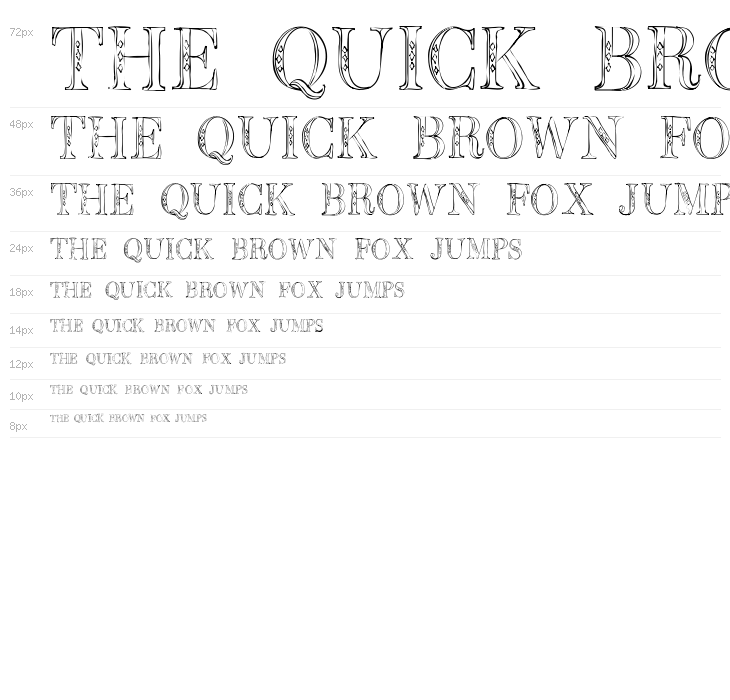 BB Petie Boy Waterfall