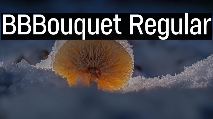BBBouquet Regular Example 2