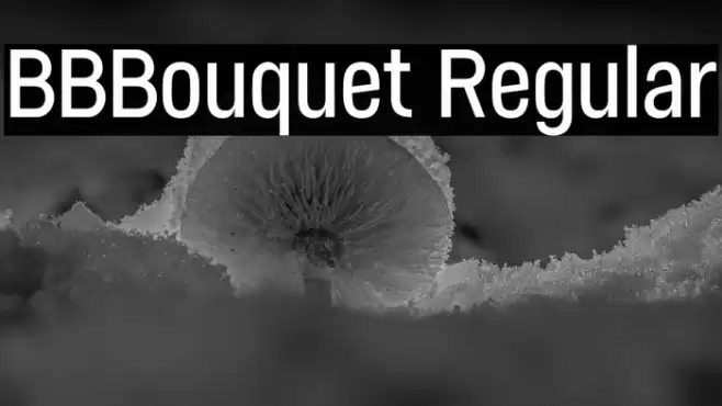 BBBouquet Regular Font examples