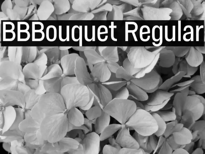 BBBouquet Regular Font examples