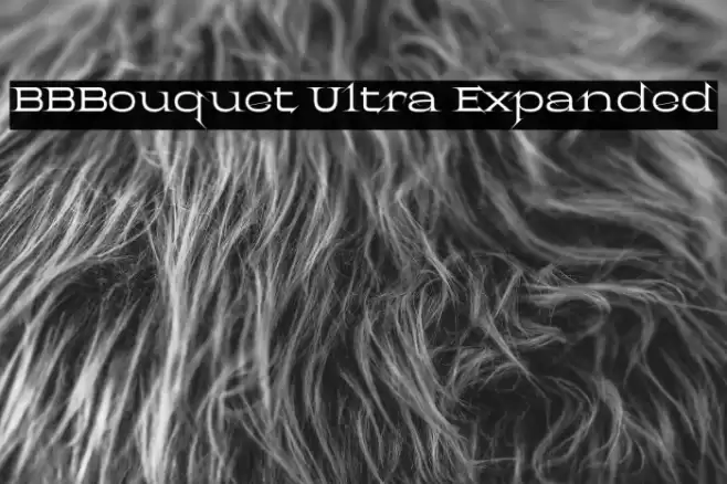 BBBouquet Ultra Expanded Font examples