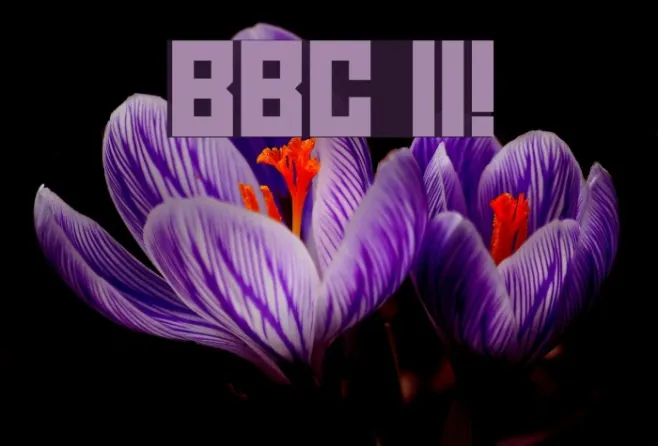 BBC II! Example 1