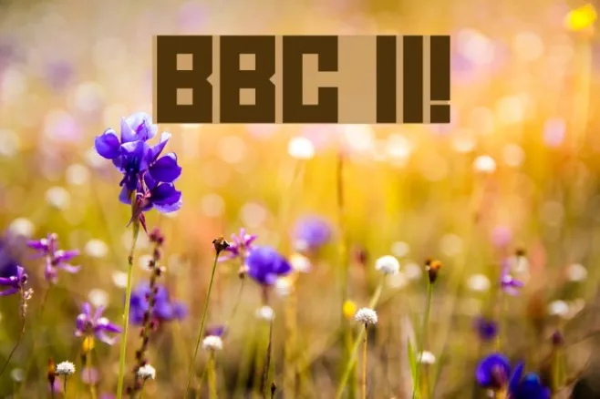 BBC II! Example 3