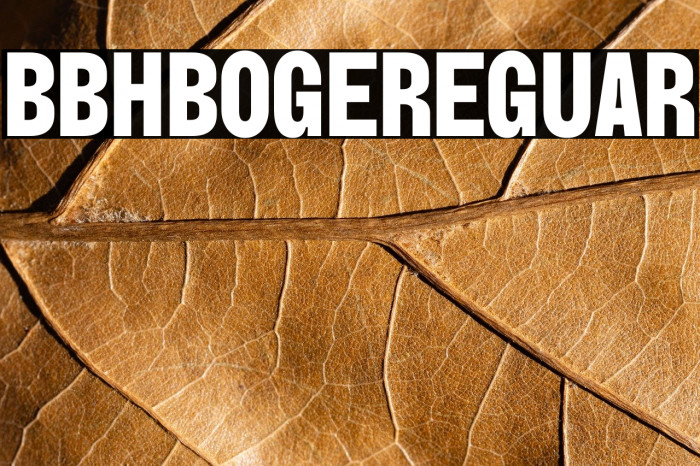 BBH Bogle Regular Example 1