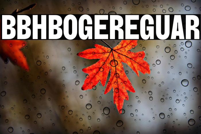 BBH Bogle Regular Example 3