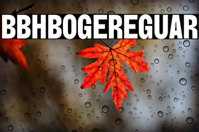 BBH Bogle Regular Example 3
