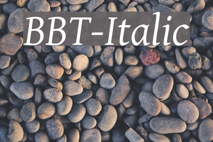 BBT-Italic Polices examples