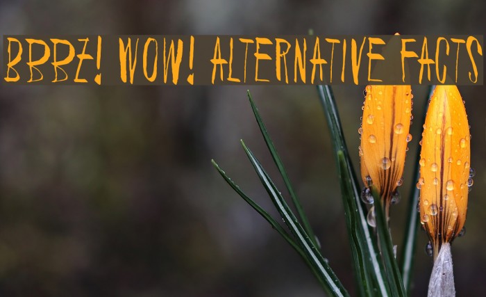 Bbbz! Wow! Alternative facts Font examples