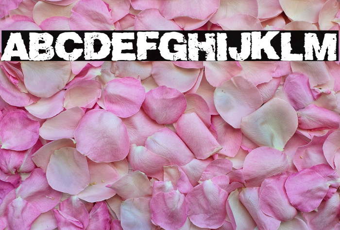 BCN Nightmare Club Example 3