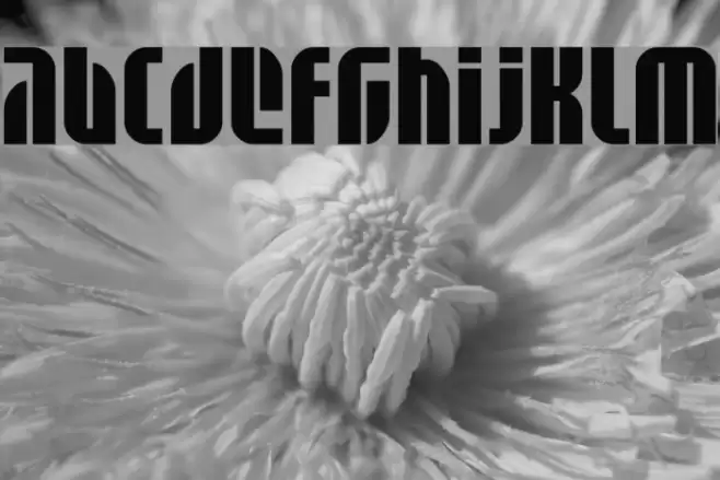 BD Alm Font examples