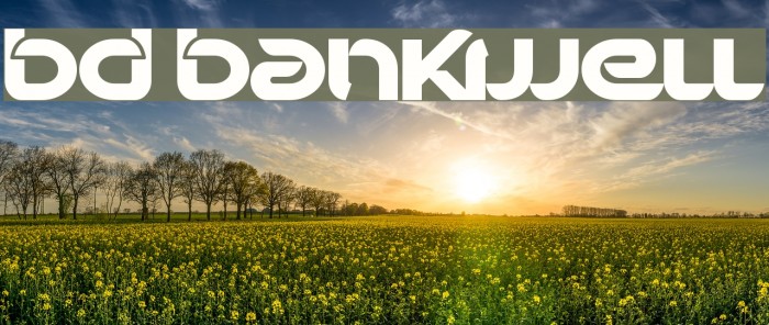 BD Bankwell Font examples
