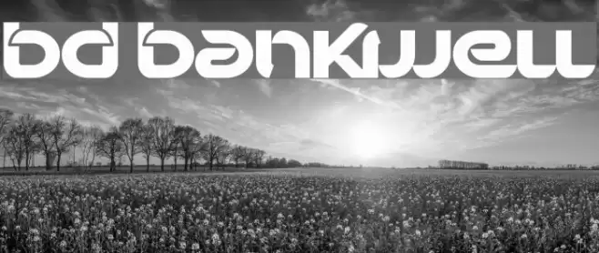 BD Bankwell Font examples