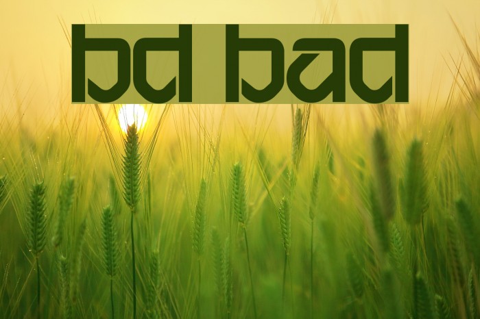BD Bardust Font examples