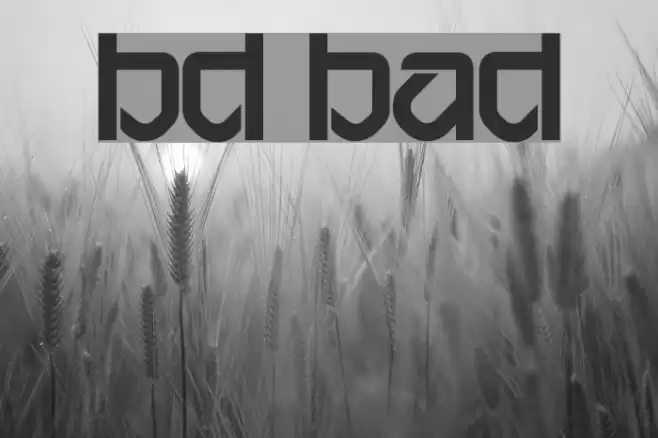 BD Bardust Schriftart examples