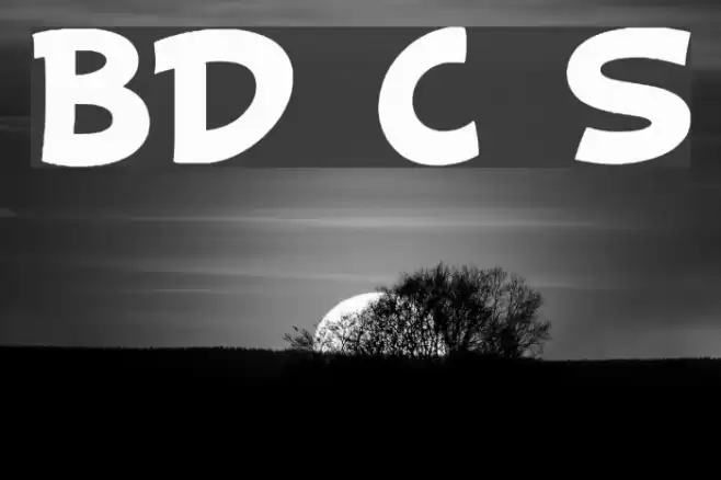 BD Cartoon Shout Font examples