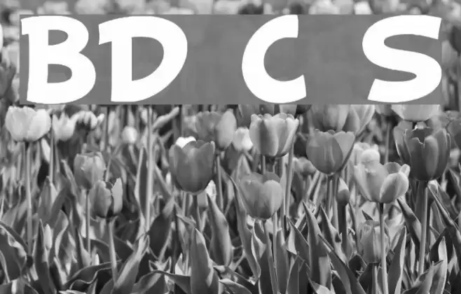 BD Cartoon Shout Font examples