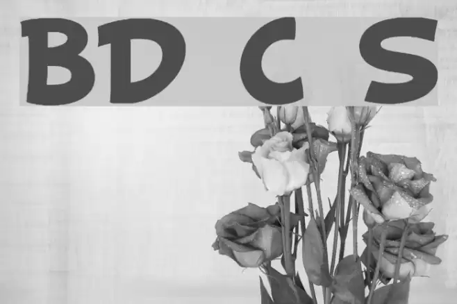 BD Cartoon Shout Font examples