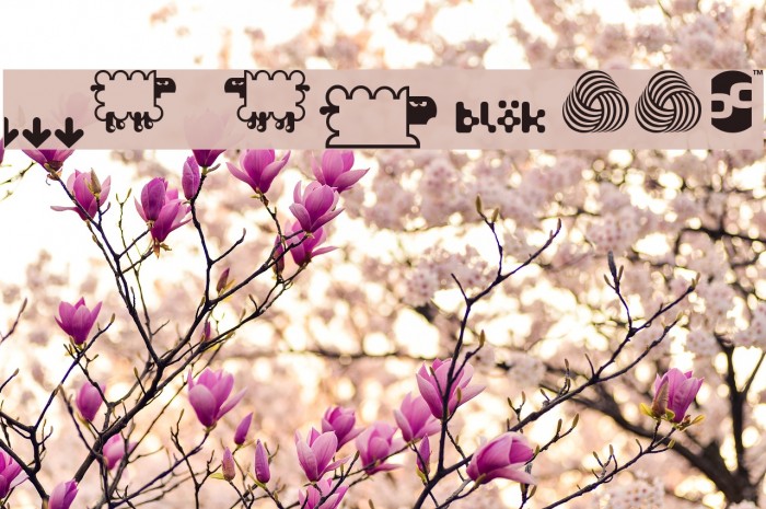 BD Flossy Font examples