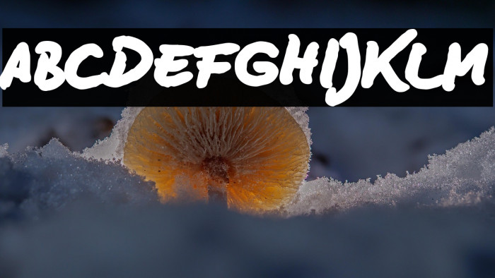 BD Lettering Reduced Black Example 1