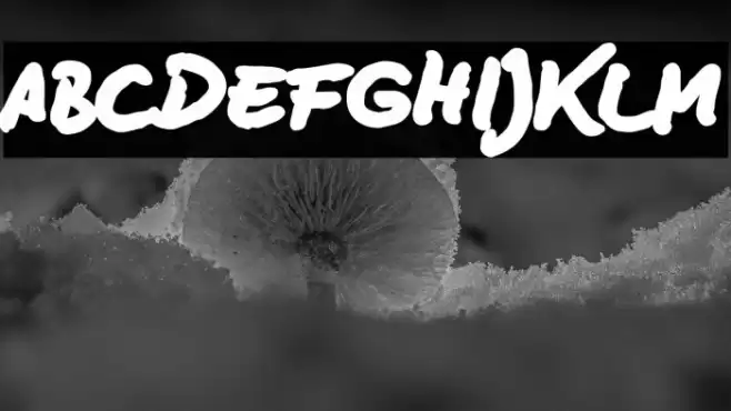 BD Lettering Reduced Black Font examples