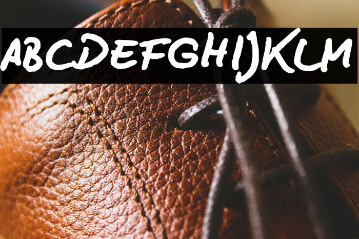 BD Lettering Reduced Bold Example 1