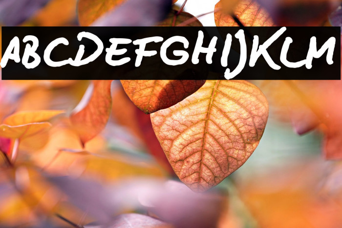 BD Lettering Reduced Bold Example 3