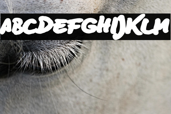 BD Lettering Reduced Ultra Example 1