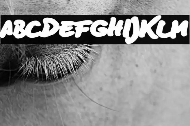 BD Lettering Reduced Ultra Polices examples