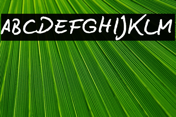 BD Lettering Reduced Example 2