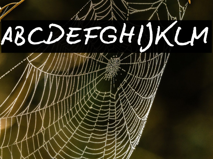 BD Lettering Reduced Example 3