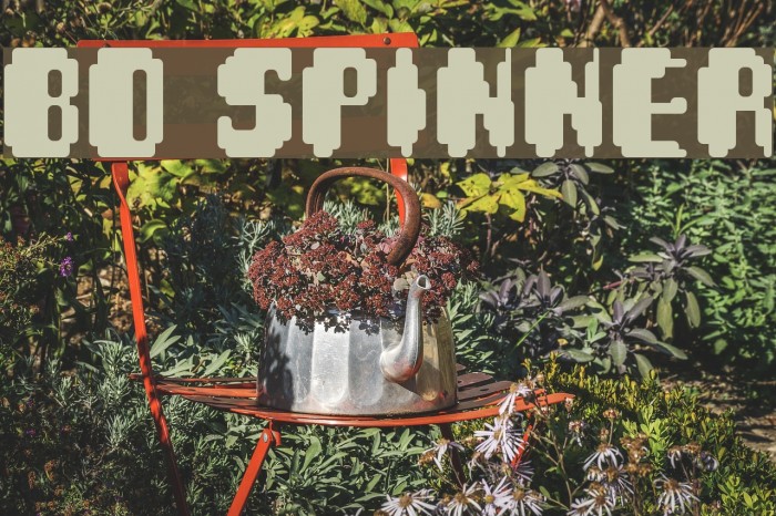 BD Spinner Font examples
