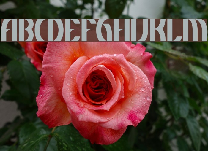 BDApotheke Font examples