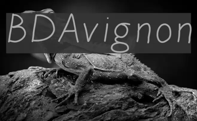 BDAvignon Font examples