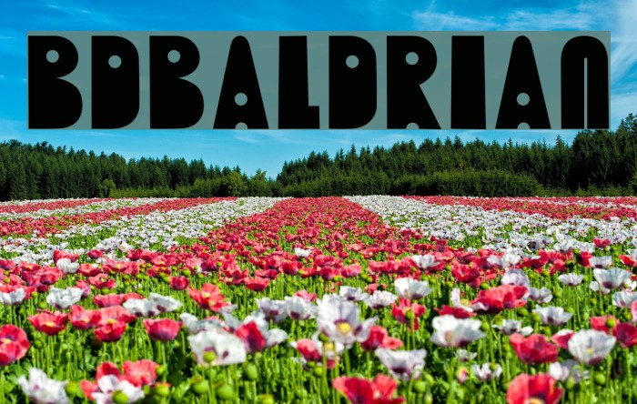 BDBaldrian Font examples