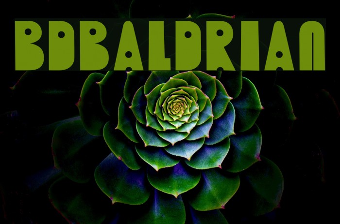 BDBaldrian Font examples